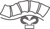 01 (1)